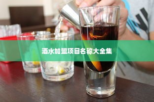 酒水加盟项目名称大全集