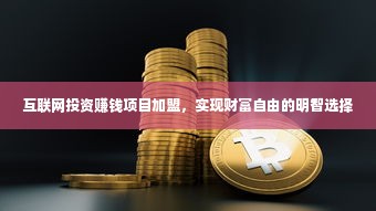 互联网投资赚钱项目加盟，实现财富自由的明智选择