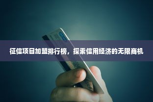 征信项目加盟排行榜，探索信用经济的无限商机