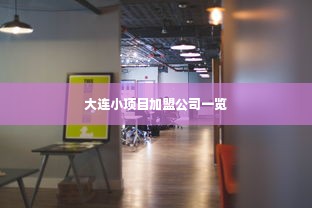 大连小项目加盟公司一览