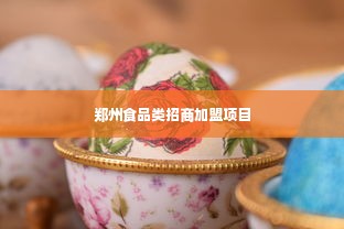 郑州食品类招商加盟项目