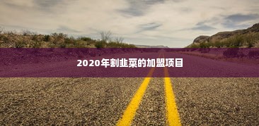 2020年割韭菜的加盟项目