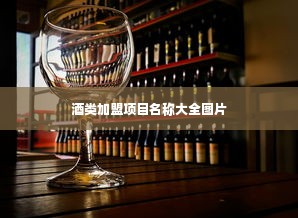 酒类加盟项目名称大全图片