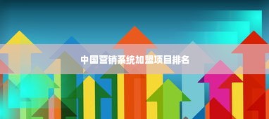 中国营销系统加盟项目排名