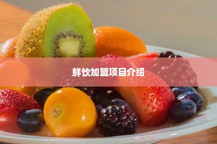 鲜饮加盟项目介绍