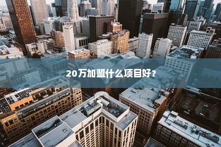 20万加盟什么项目好？