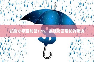 投资小项目加盟17n，实现财富增长的秘诀