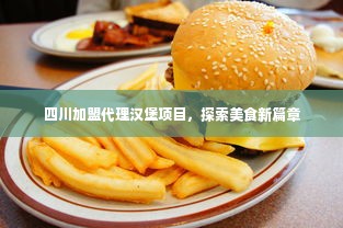 四川加盟代理汉堡项目，探索美食新篇章