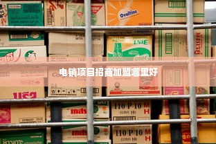 电销项目招商加盟哪里好