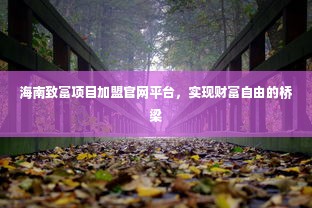 海南致富项目加盟官网平台，实现财富自由的桥梁