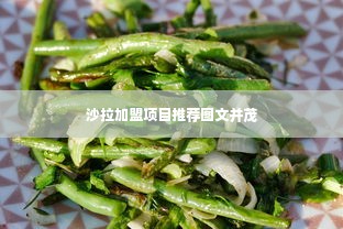 沙拉加盟项目推荐图文并茂