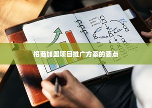 招商加盟项目推广方案的要点