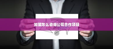 加盟怎么咨询公司合作项目