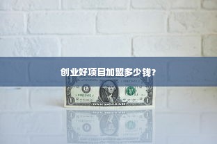 创业好项目加盟多少钱？