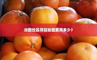 沈阳饮品项目加盟费用多少？