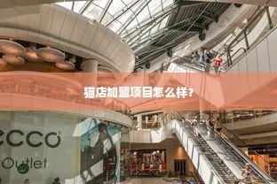 猫店加盟项目怎么样？