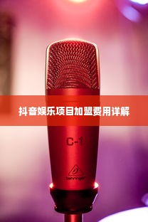 抖音娱乐项目加盟费用详解