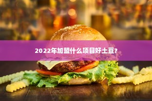 2022年加盟什么项目好土豆？