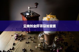 云南创业好项目加盟费