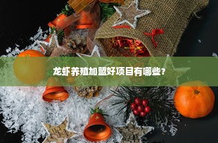 龙虾养殖加盟好项目有哪些？