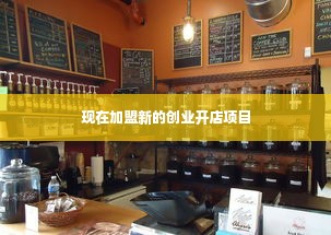 现在加盟新的创业开店项目