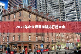 2023年小众项目加盟排行榜大全