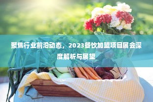 聚焦行业前沿动态，2023餐饮加盟项目展会深度解析与展望