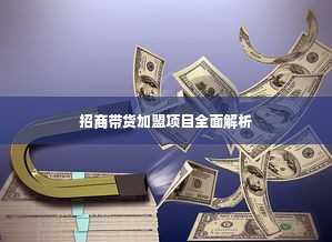 招商带货加盟项目全面解析