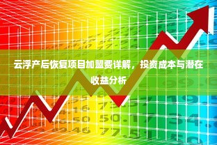 云浮产后恢复项目加盟费详解，投资成本与潜在收益分析