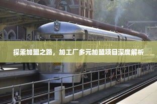 探索加盟之路，加工厂多元加盟项目深度解析