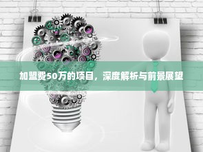 加盟费50万的项目，深度解析与前景展望