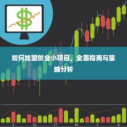 如何加盟创业小项目，全面指南与策略分析