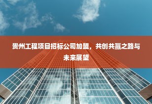 贵州工程项目招标公司加盟，共创共赢之路与未来展望