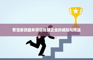 智慧家政服务项目加盟企业的崛起与挑战