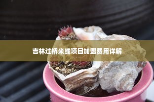 吉林过桥米线项目加盟费用详解