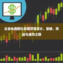 企业电商孵化加盟项目设计，策略、挑战与成功之路