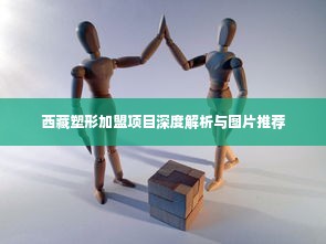 西藏塑形加盟项目深度解析与图片推荐