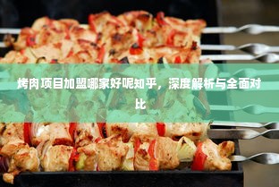 烤肉项目加盟哪家好呢知乎，深度解析与全面对比