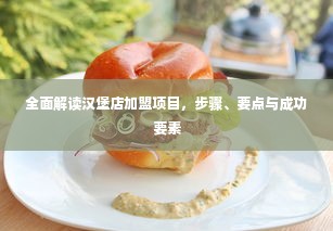 全面解读汉堡店加盟项目，步骤、要点与成功要素