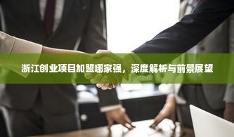 浙江创业项目加盟哪家强，深度解析与前景展望