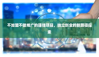 不加盟不做推广的赚钱项目，独立创业的新路径探索