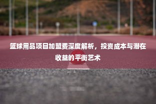 篮球用品项目加盟费深度解析，投资成本与潜在收益的平衡艺术