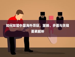 如何加盟中国海外项目，策略、步骤与关键要素解析