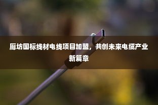 廊坊国标线材电线项目加盟，共创未来电缆产业新篇章