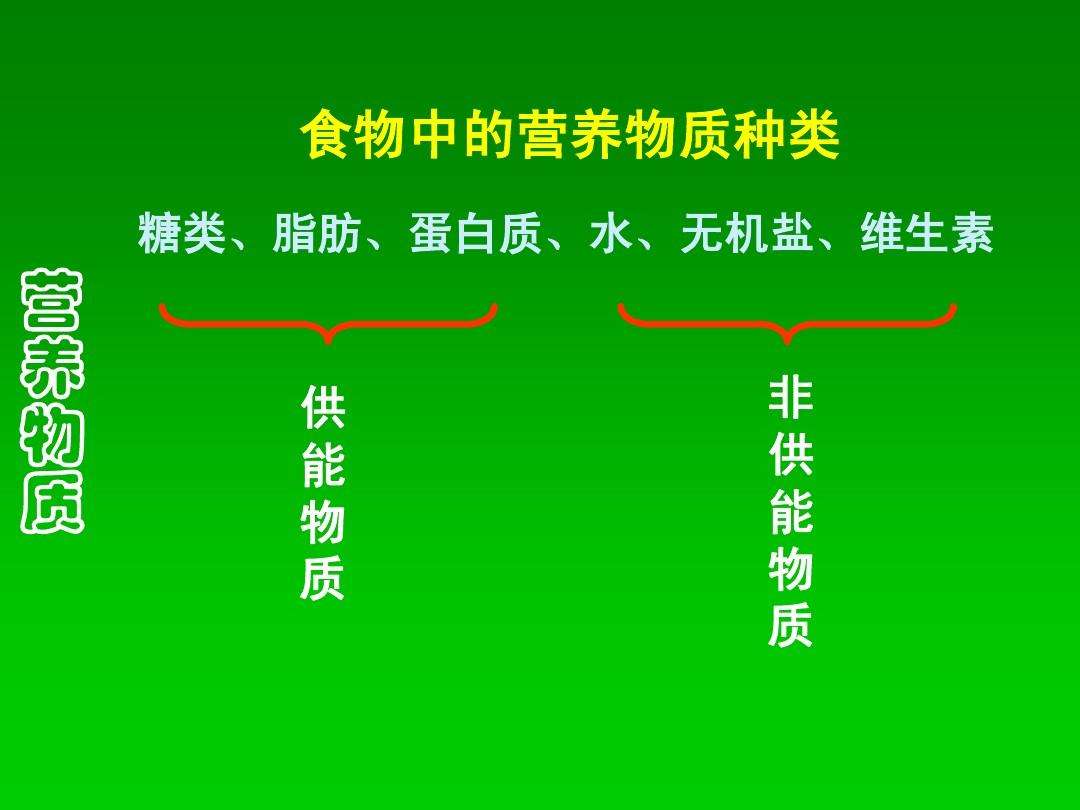 脂肪的营养作用,脂肪的营养作用和功能