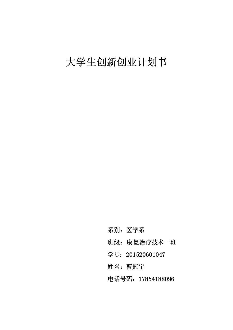 大学生电商创业计划书 大学生电商创业计划书3000