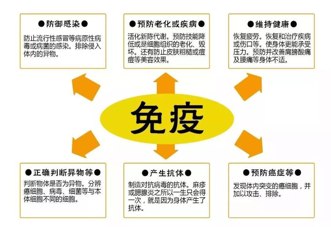 免疫力差怎么办 无症状免疫力差怎么办