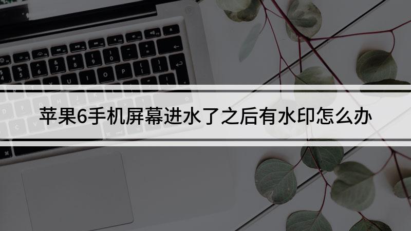 手机进水了怎么办 手机进水了怎么办能正常使用