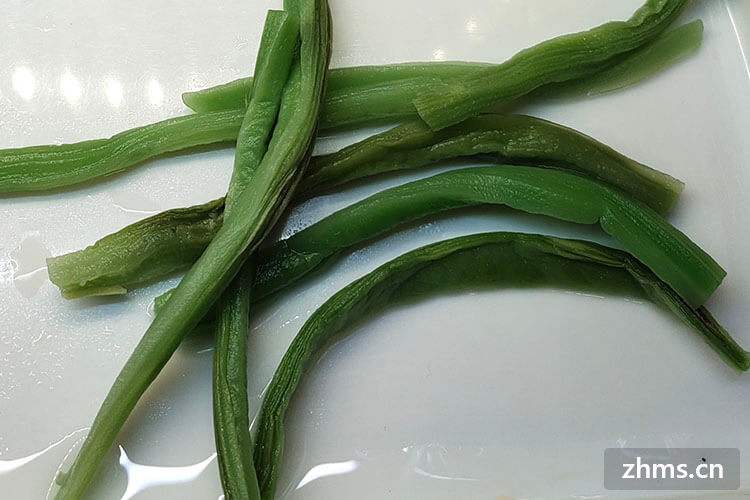 貢菜是什麼菜(貢菜是什麼菜做的)-手指套