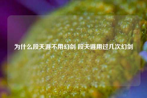 为什么段天涯不用幻剑 段天涯用过几次幻剑